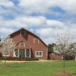 springtime barn